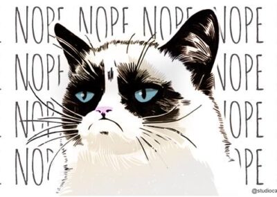 7 purrrfect social media lessons from Grumpy Cat